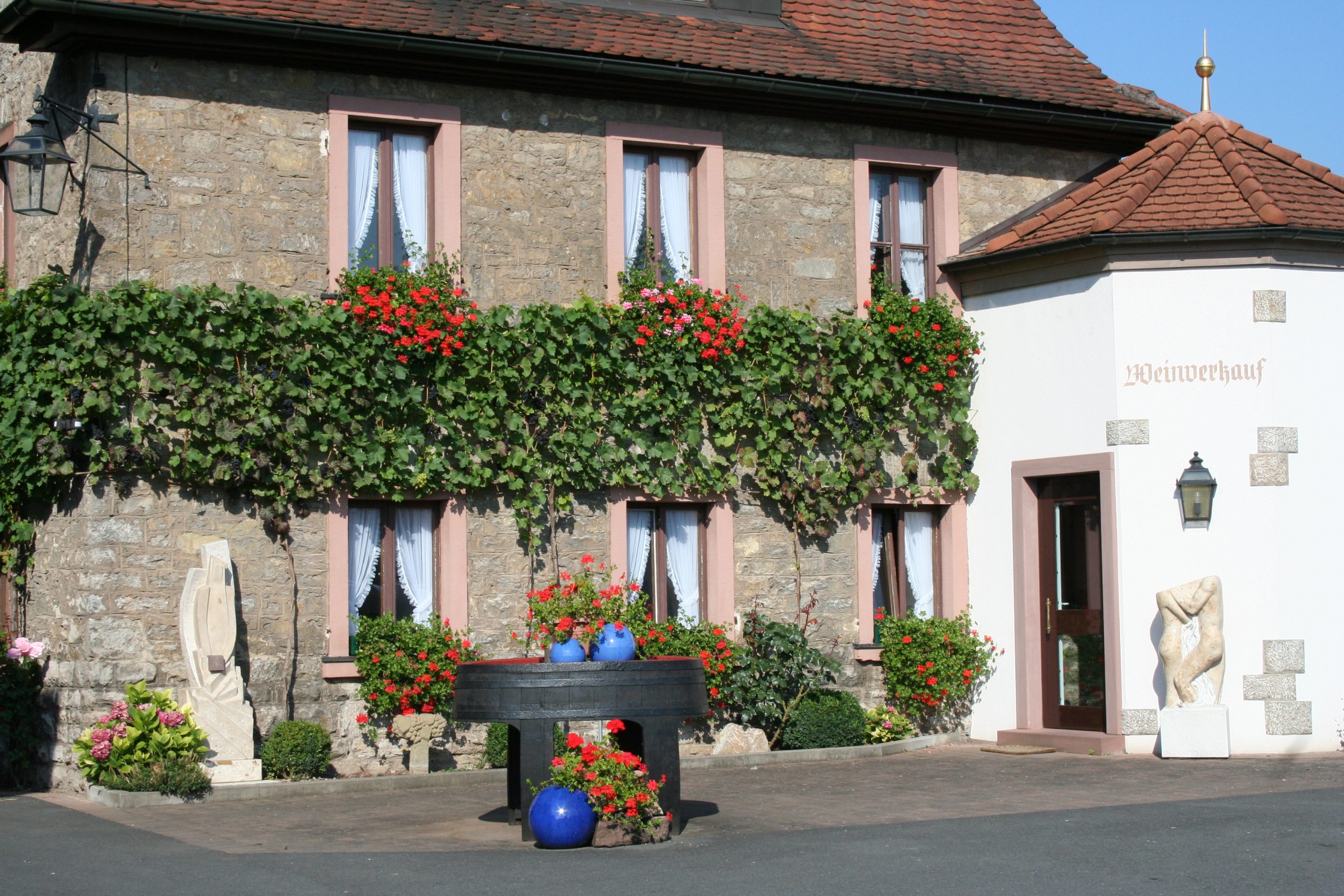 Sommer 2025 Weinlagenwanderung Weingut Gebr. Geiger jun. Thüngersheim