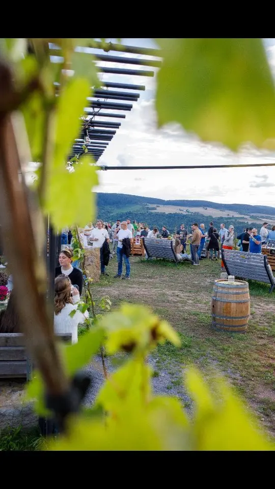 🍷 Weinleuchten Thüngersheim 2025 🍷

Am vergangenen Samstag fand am terroir f Wein und Mythologie eine besondere Weinverkostung statt.
Insgesamt 13 Weingüter, darunter zwei Gastbetriebe aus Rheinhessen @aura_weine und @tobias.kraemer, präsentierten ihre Weine in stimmungsvoller Atmosphäre.

Für das leibliche Wohl sorgte der Faschingsclub, die Bestuhlung stellte der Schützenverein Thüngersheim, musikalisch begleitet wurde der Abend von DJ Alexander Dechant. Den Shuttel hat auch in diesem Jahr wieder Markus Liebler vom Fußballverein Thüngersheim übernommem. Festgehalten wurden die besonderen Momente von Svenja Kopp und Tobias Schönitz 📷
Allen Beteiligten ein herzliches Dankeschön! ❤️ 

✨ Save the Date! Weinleuchten Thüngersheim 2026 - erstes Augustwochenende! 

#weinleuchten2025 #terroirf #weinundmythologie #weinverkostung #rheinhessen #genussmomente #regionalgenuss #weinkultur #silvanerheimat #franken #zweiuferland #Wein #gebrgeigerjun