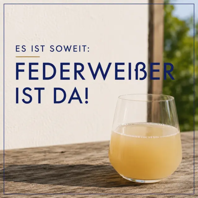 Federweißer-Zeit! 🍂🥂

Unser Federweißer ist ab sofort wieder da! 🎉Wer ist schon bereit für Federweißer & Zwiebelkuchen?

#Federweißer #Federweisser #FederweißerZeit #NeuerWein #Frankenwein