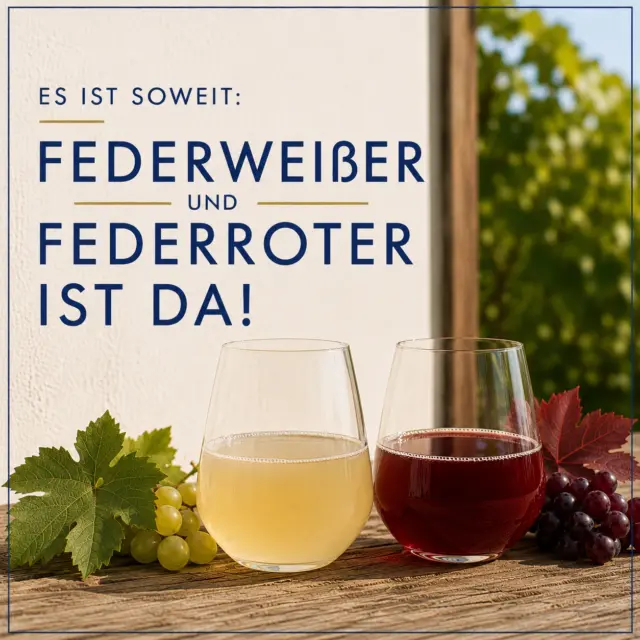 Federweißer-Zeit! 🍂🥂

Nun gibt es auch FederROTEN!! 

#neuerwein #federweißer #weinlese #federroter #bremser